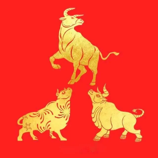 Gangi þér vel að byrja