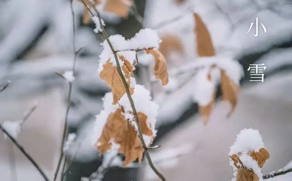 Smá snjór - Hvað á að vita