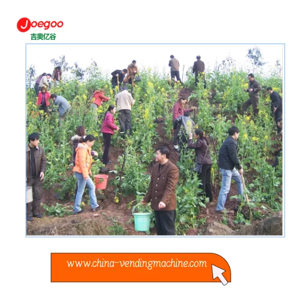 Útflutningsdeild Jeogoo Company skipulagði sjálfboðavinnu fyrir plöntuhátíðina